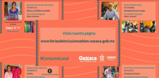 Lanza Sebien segunda Feria de Inclusión Social en Redes 2021