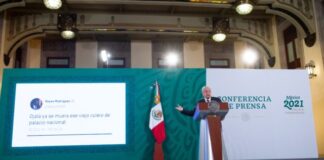 Los magistrados del TEPJF deberían renunciar por dignidad: AMLO