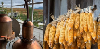 El whiskey mexicano que nació en Oaxaca para defender el maíz