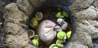 Mezcal de pechuga: una ofrenda ancestral