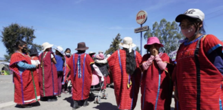 MULTI regresará a la ciudad de Oaxaca tras retorno fallido a Copala