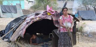 Analistas prevén aumento significativo de pobreza por COVID en reporte del Coneval