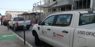 Nueva revisión de Sedema y PMA a Torre Arista