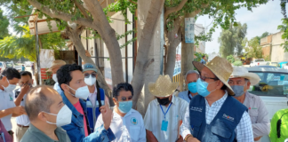 Derribará SINFRA 633 árboles en Símbolos Patrios; anuncia reforestación