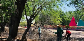 Disfruta comunidad deportiva instalaciones adecuadas en El Tequio