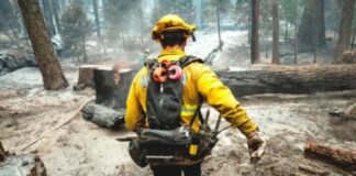 El cambio climático se refleja en la salud