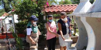 Pide IMSS extremar medidas para evitar enfermar de dengue
