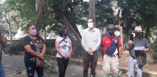 Ambientalistas piden a Neri atención al arbolado capitalino