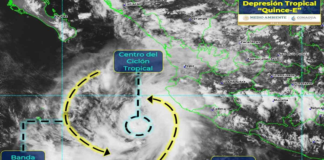 Depresión Tropical Quince-E podrá originar la tormenta tropical Olaf