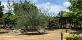 Bosque del Deporte reabre para la comunidad oaxaqueña