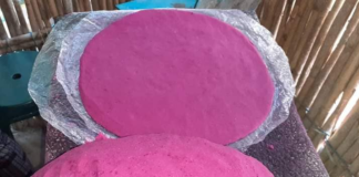 Las deliciosas tortillas rosas de tuna de Oaxaca