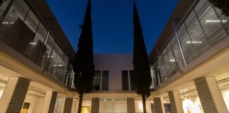 NN Galería inaugura la exhibición ‘Bixhia’ en la ciudad de Oaxaca