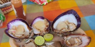 Se levanta veda sanitaria por marea roja en el Istmo: SSO