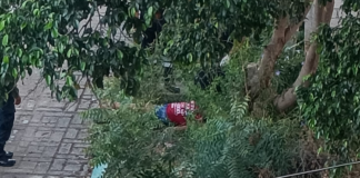 Localizan sin vida a mujer en banqueta de Puerto Escondido