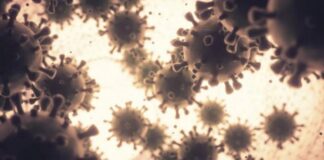 Registra SSO 74 casos nuevos en 37 municipios