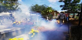 Contabiliza Oaxaca 286 casos de dengue