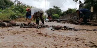 Alerta en Chiapas, Oaxaca y Tabasco ante posibles deslaves por lluvias