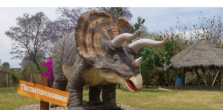 A un lado Jurassic Park, en Oaxaca puedes convivir con dinosaurios