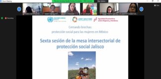Sebien participa en Sexta Sesión de la Mesa Intersectorial de Protección Social Jalisco