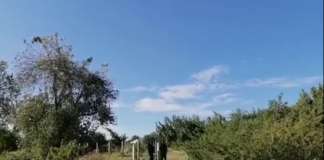 En hechos distintos, fallecen tres mujeres en Oaxaca