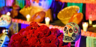 Pide SSO extremar medidas sanitarias durante las festividades de Día de Muertos