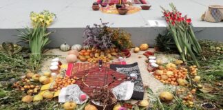 Medicina tradicional, gran aliada en medio de la pandemia: SSO