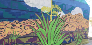 San Baltazar Chichicapam alista “Mezcal Mural Festival 2021”