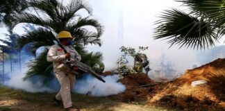 Realiza SSO termonebulización de panteones para prevenor dengue, zika y chikungunya