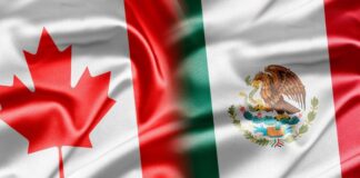 Reforma eléctrica destruirá inversión y violará T-MEC: CanChamMx