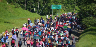Prevén habilitar albergues en Oaxaca para migrantes que viajan en caravana