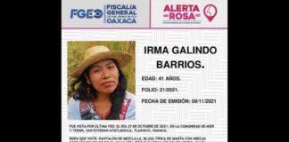 Exige senador Jara a Fiscalía de Oaxaca localizar con vida a activista