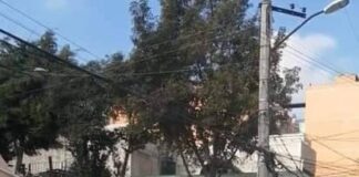 Muere mujer tras explosión en alcaldía de CdMx; hay 12 lesionados