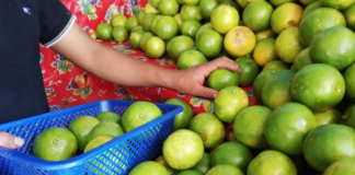 Recomienda SSO fortalecer sistema inmunológico en temporada de frío