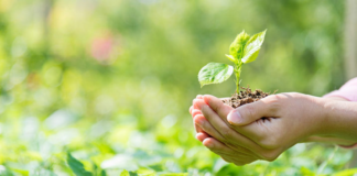 EfeméridesRIO: Día internacional para la prevención de la explotación del medio ambiente