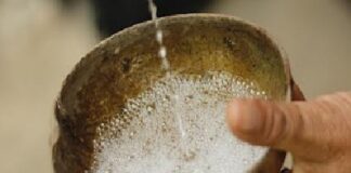 Mezcal oaxaqueño llega a China