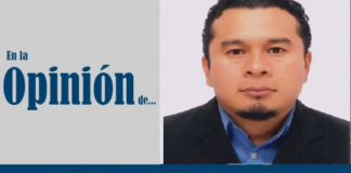 Una ciudad menos verde, un desastre inminente