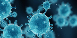 Cuantifican los SSO 11 casos nuevos y ninguna defunción por COVID-19