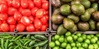 México se afianza como séptimo exportador agrícola del mundo, según Sader