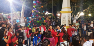 ¡Celebra con responsabilidad las festividades decembrinas!: SSO