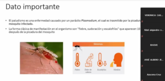 Capacita SSO a personal del Sector Salud sobre paludismo