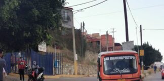 Exhiben a mototaxista de la ciudad de Oaxaca por maltrato animal