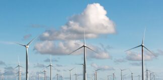 Promueven amparo contra presidente municipal y parque eólico Gunaa Sicarú en Oaxaca