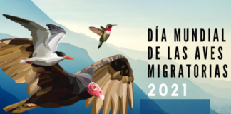 EfeméridesRIO: Día Mundial de las Aves