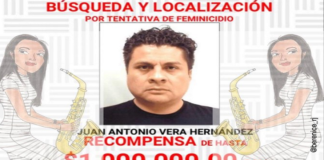 Fiscal de Oaxaca no ha querido capturar a mi agresor: Elena Ríos