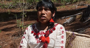 Localizan posibles restos de Irma Galindo, defensora del bosque en Oaxaca