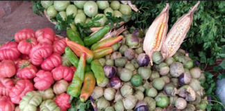 Zimatlán Gastronómico, muestra culinaria de Oaxaca