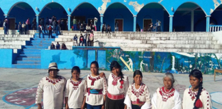 Emite CIDH medidas cautelares para comunidades mixtecas desplazadas en Oaxaca