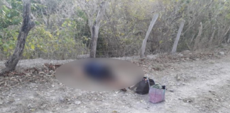Reportan feminicidio en la costa oaxaqueña