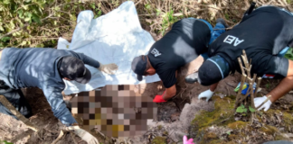 Localizan restos humanos de persona desaparecida en la Mixteca