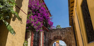 Barrio de Xochimilco, el proyecto fundamental de una ciudad educadora